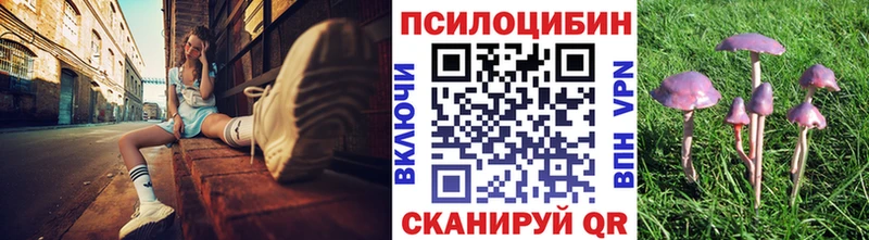 Псилоцибиновые грибы GOLDEN TEACHER  Купить  Лахденпохья 